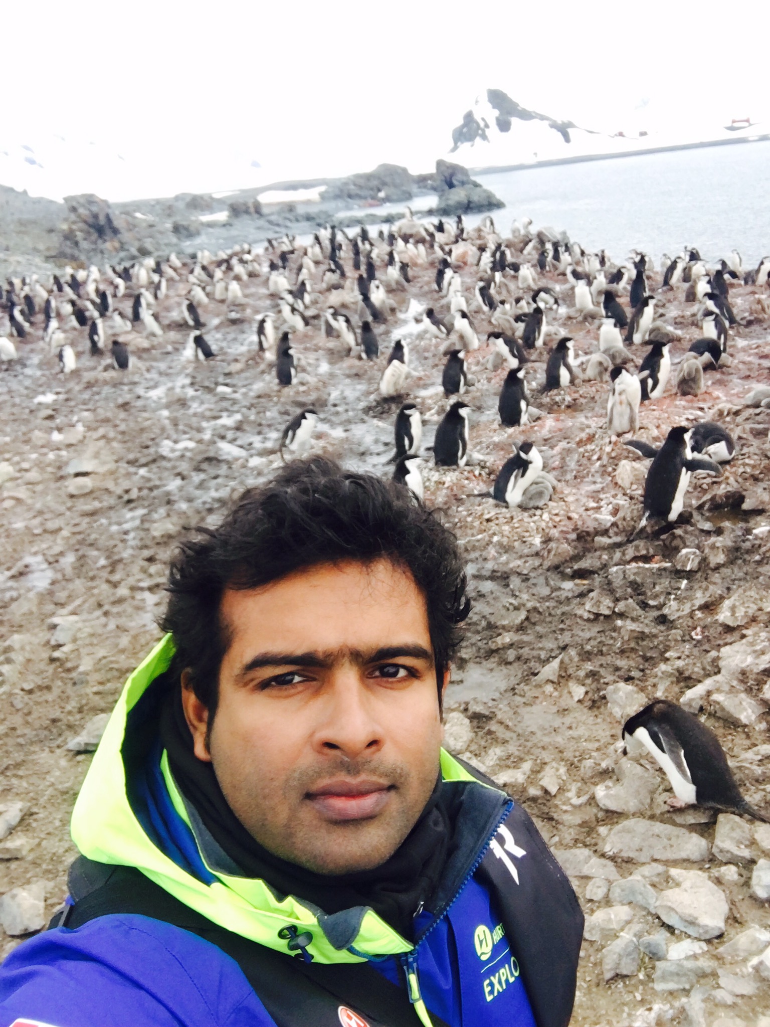 local-guides-connect-penguin-colony-antarctica-memories-local