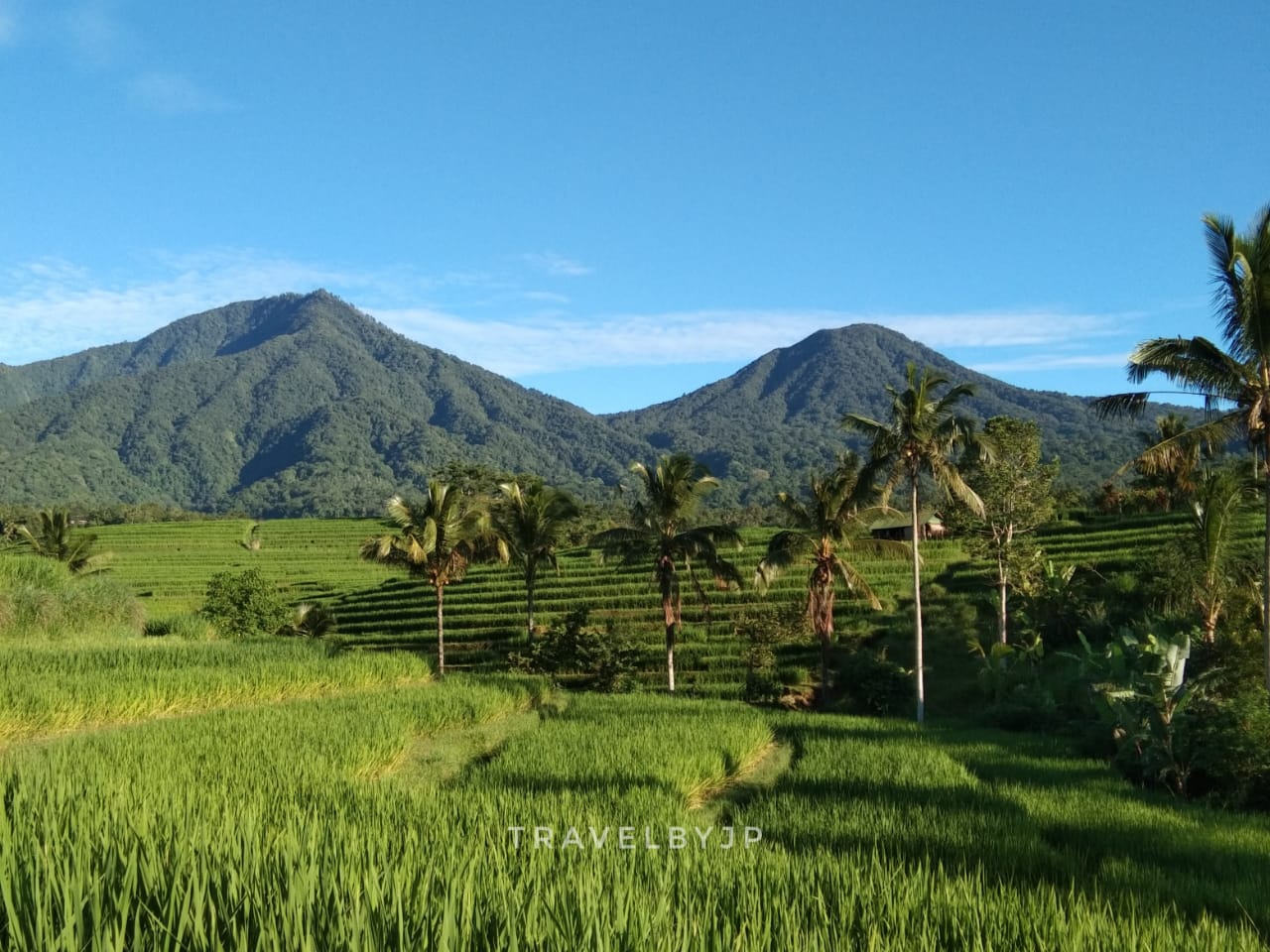 Local Guides Connect - My 2 Favorite Green Places in Bali, Indonesia