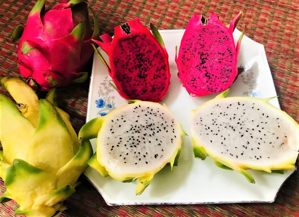 Local Guides Connect - Dragon fruits, good for diet - Local Guides Connect