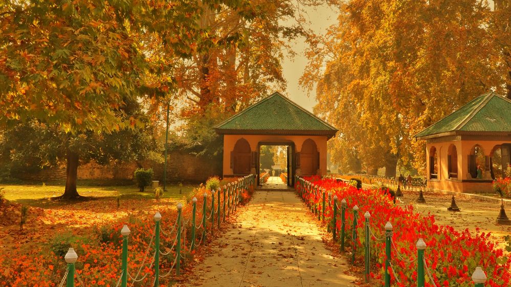 essay on autumn in kashmir