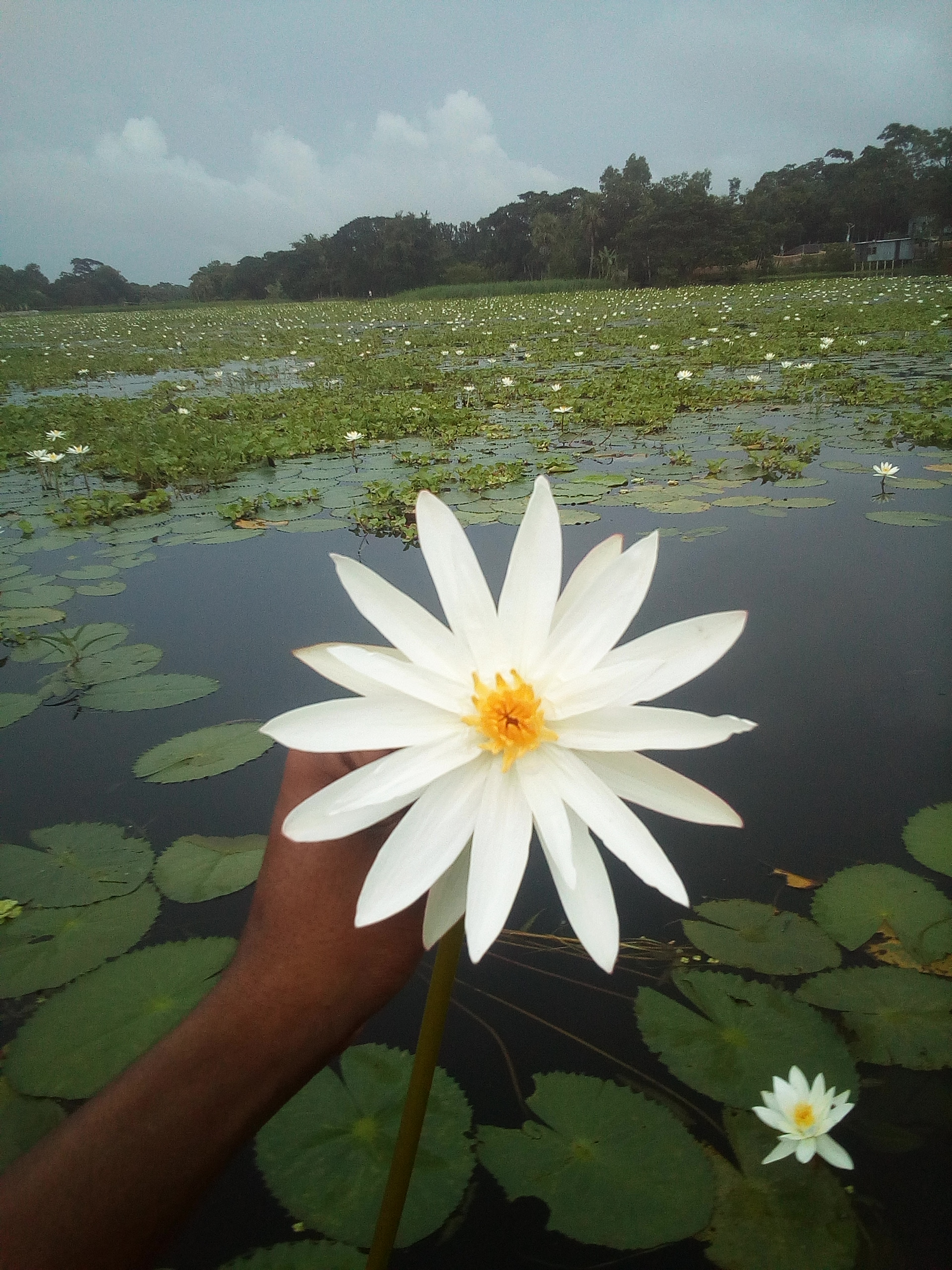 Natural Beauty Of Bangladesh