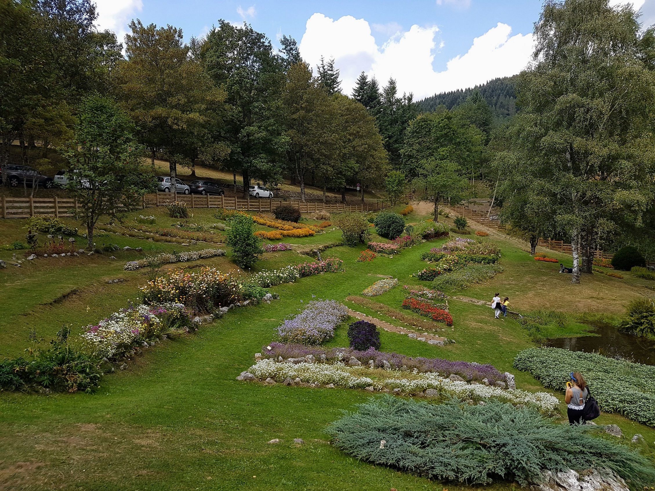 Photo of the Giardino Botanico Maria Ansaldi on the Parco dell'Orecchiella in Tuscany - Local guide @LuigiZ