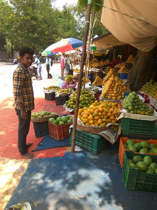 Local Guides Connect Mango Mela at the Bangalore Palace Grounds