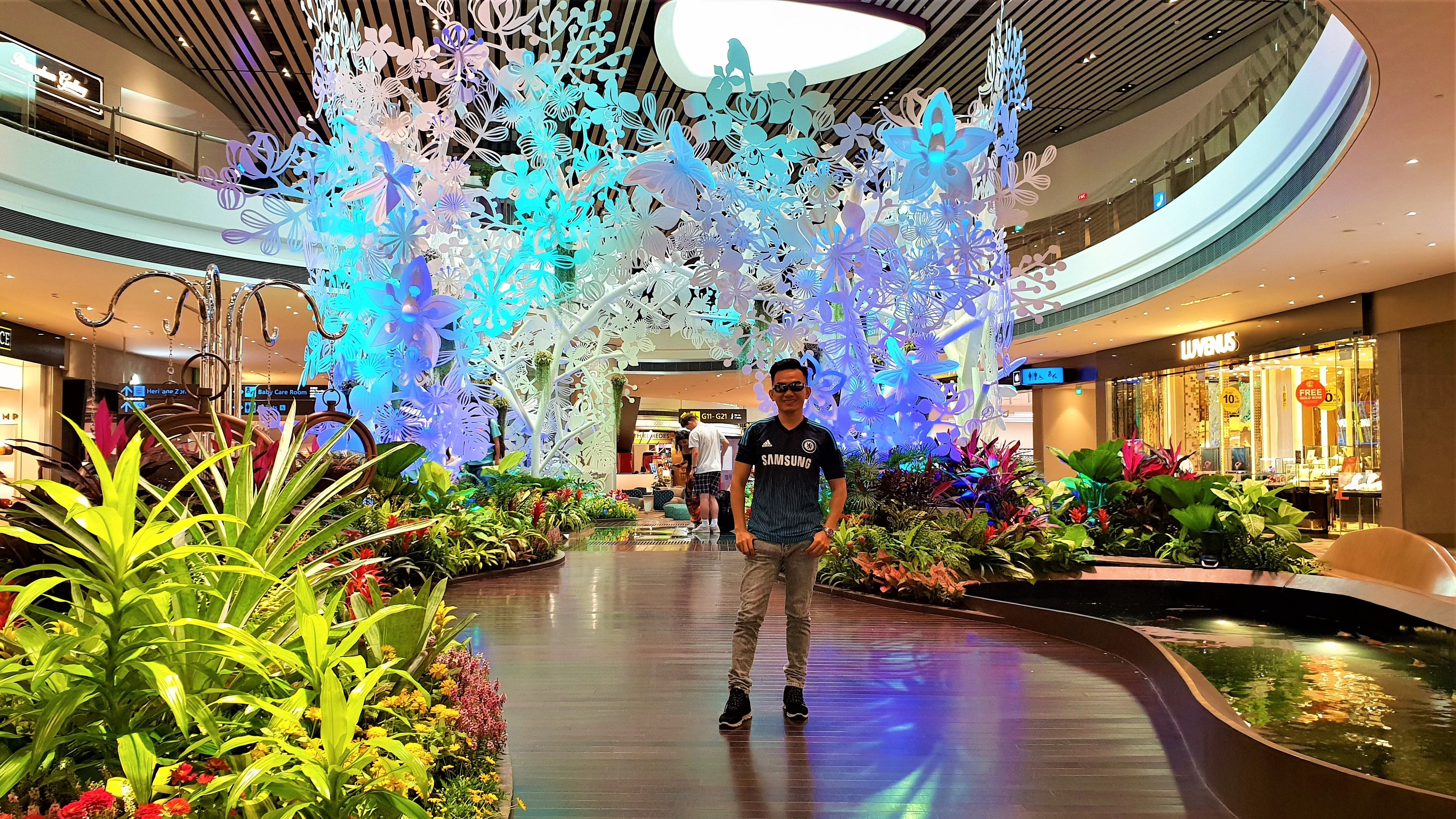 Changi Airport's Terminal 4 to open on Oct 31 - TODAY