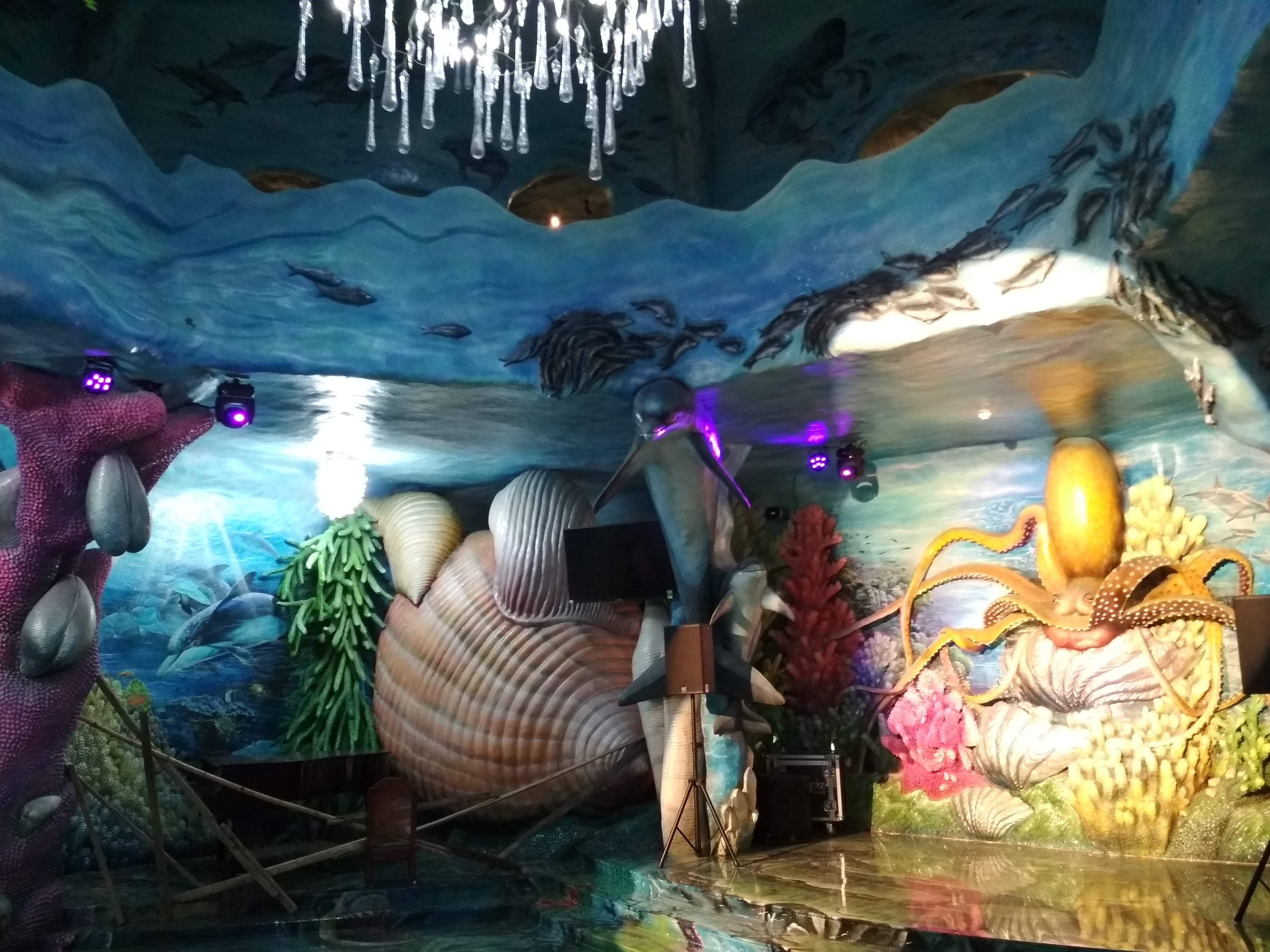 The hotel has a stylized hall under the sea kingdom. The ceiling in the hall is transparent.
