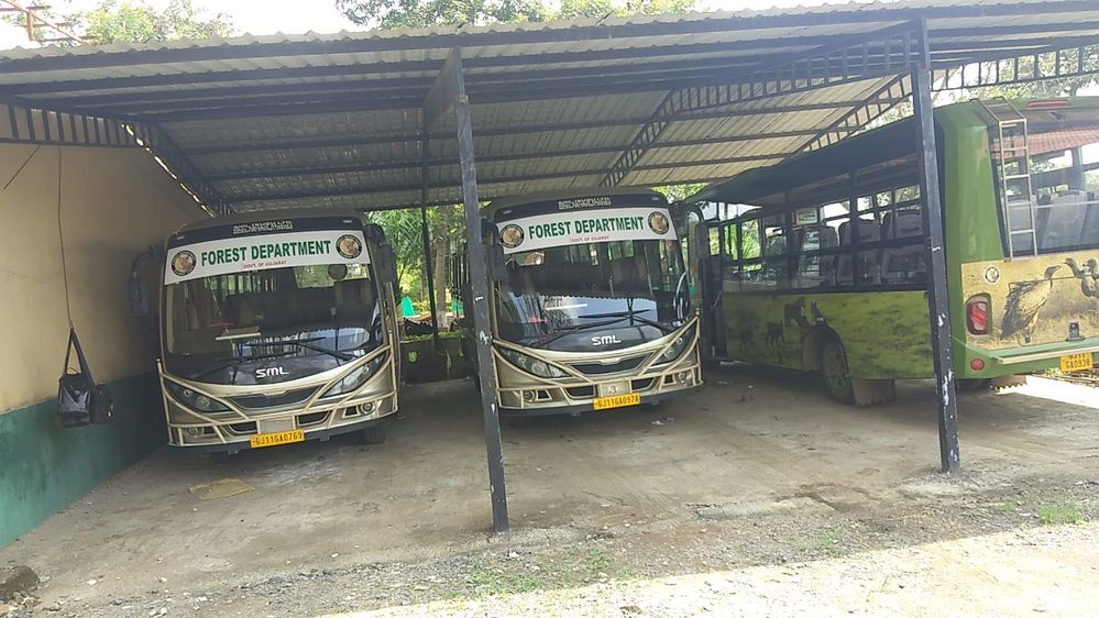 devaliya park bus safari timings