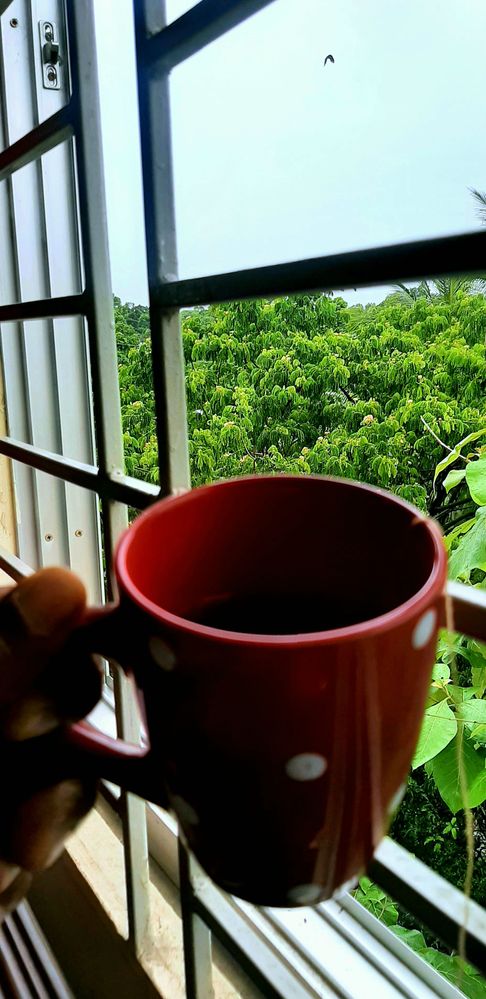 Local Guides Connect A Rainy Day And A Cup Of Green Tea From My Ho Local Guides Connect