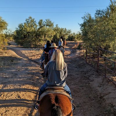 Caption: Photo by @justjake of a line of horseback riders at MacDonald's Ranch in North Scottsdale, Arizona, USA