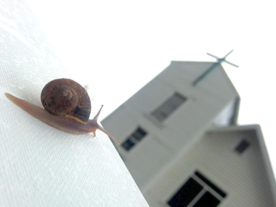 Snails Pace To Church