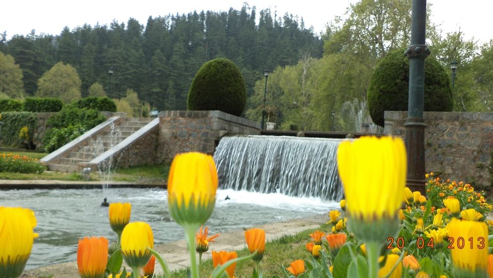 mughal gardens in kashmir