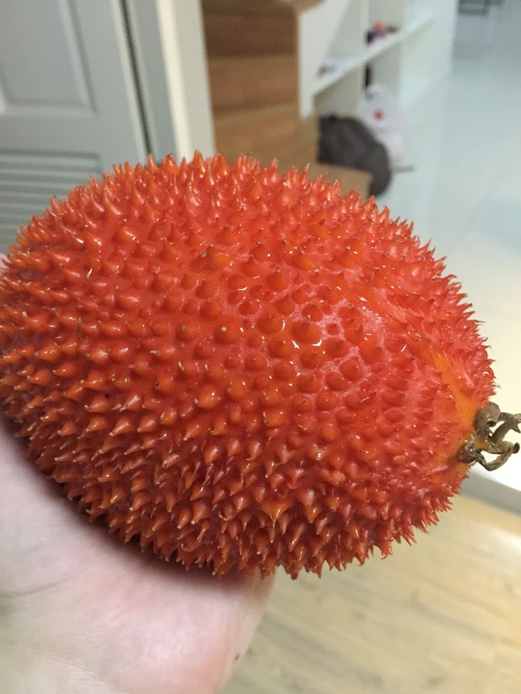 Caption: A photo of a big, reddish Thai fruit. (Local Guide @TsekoV)