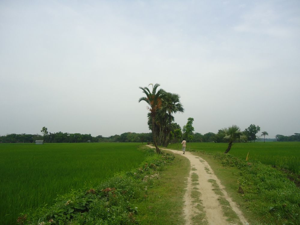 A village road in Mymensingh