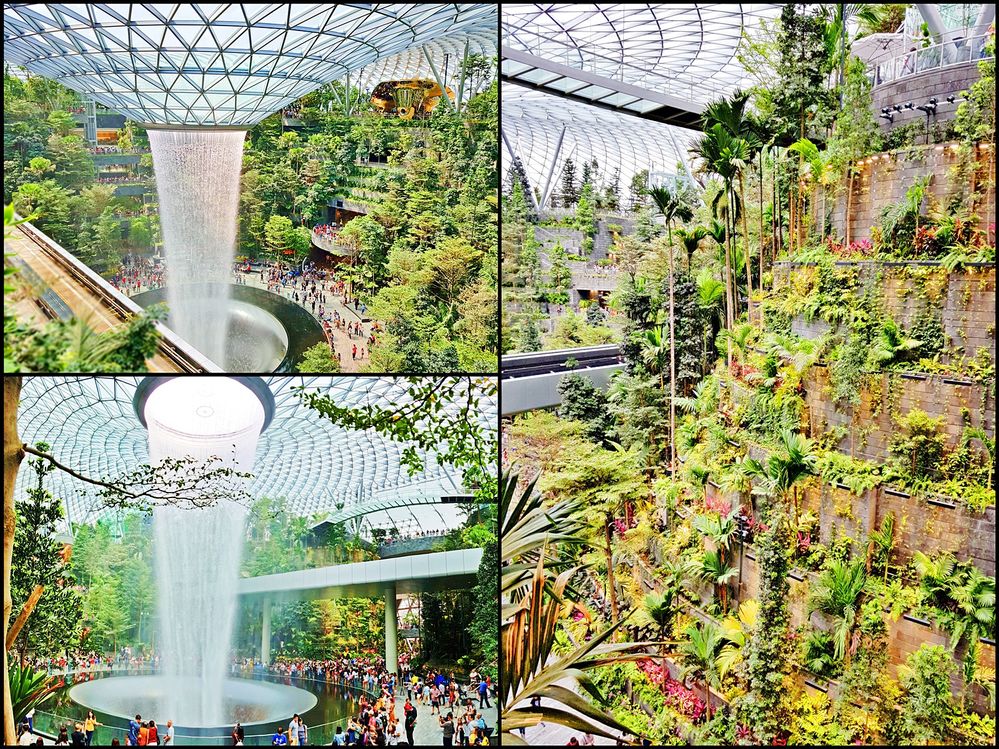 Singapore Guide: Changi Airport crowned world's best airport