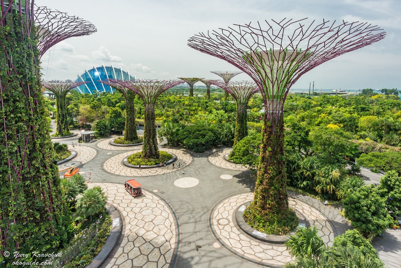 Парк искусственных деревьев Сингапур