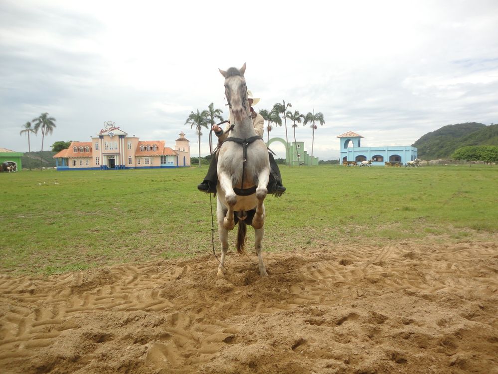 Local Guides Connect - Beto Carrero World Park - Local Guides Connect