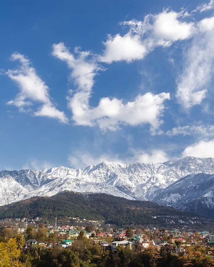 Local Guides Connect - Dharamshala: A Must Visit Hill Station This ...