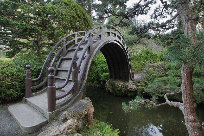 Local Guides Connect The Japanese Tea Garden in San Francisco