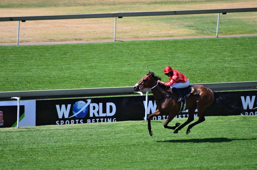 Local Guides Connect Last Few Seconds At Turffontein Racecourse Joburg Local Guides Connect