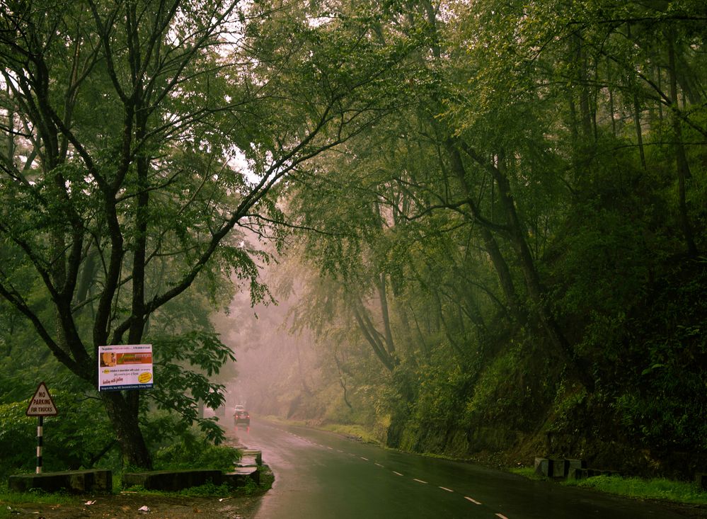 Дожди мест. Город Черрапунджи. Черапунджи самое дождливое место на земле. Самые дождливые места Черапунджи. Дождливое место.