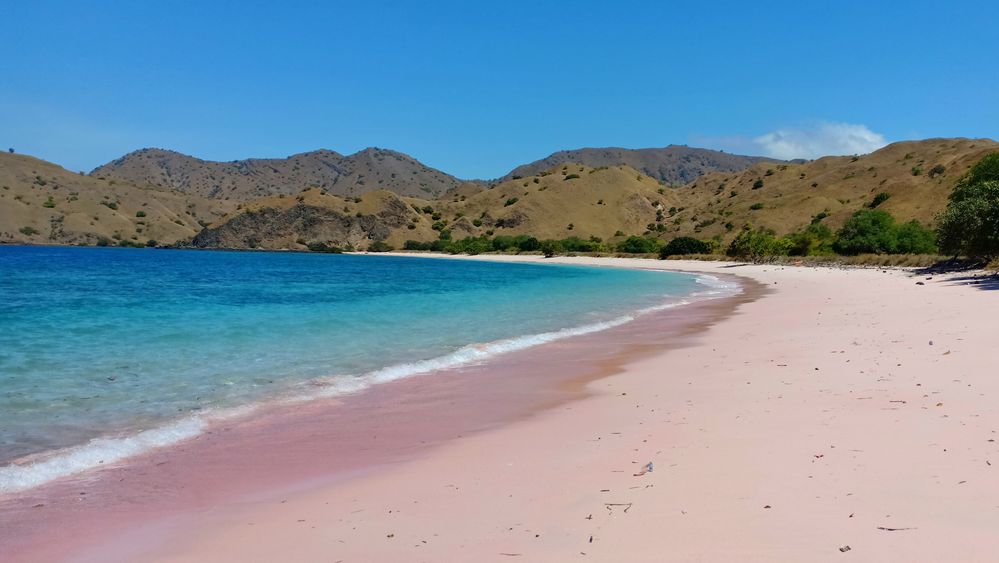 A photo of the soft pink sands and turquoise waters of Komodo Island's Pink Beach.
